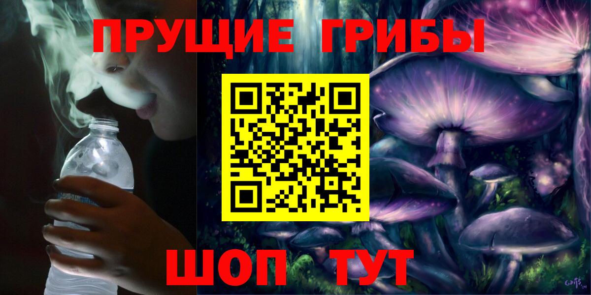 Псилоцибиновые грибы Psilocybine cubensis  Вход с VPN  Дедовск 