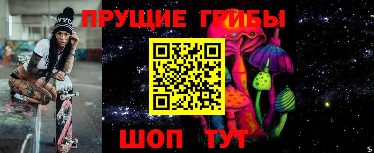 Псилоцибиновые грибы Psilocybine cubensis Дедовск